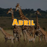 13 de abril de 2023