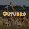 5 de outubro de 2023