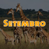 14 de setembro de 2023