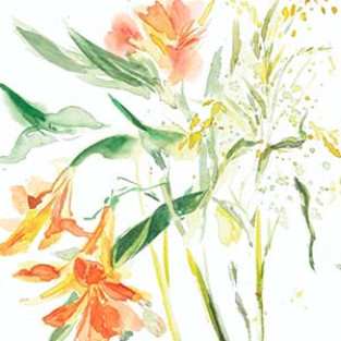 Introdução a Aquarela